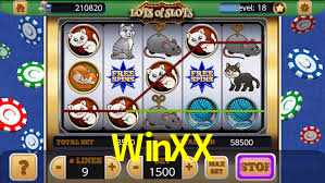 WinXX